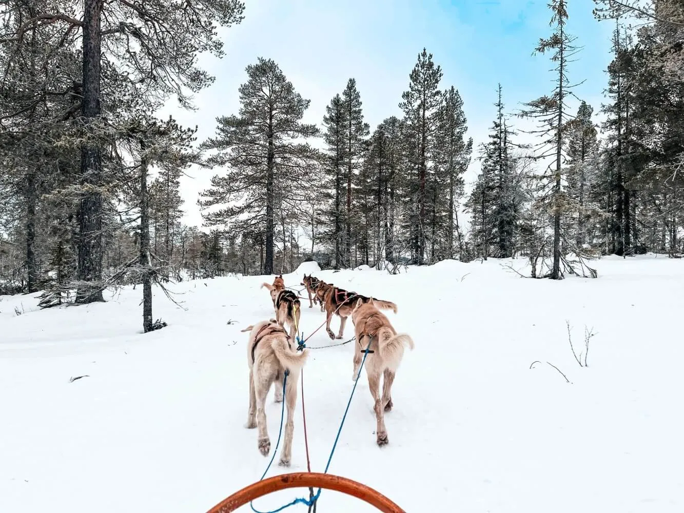 Winterurlaub in den Bergen