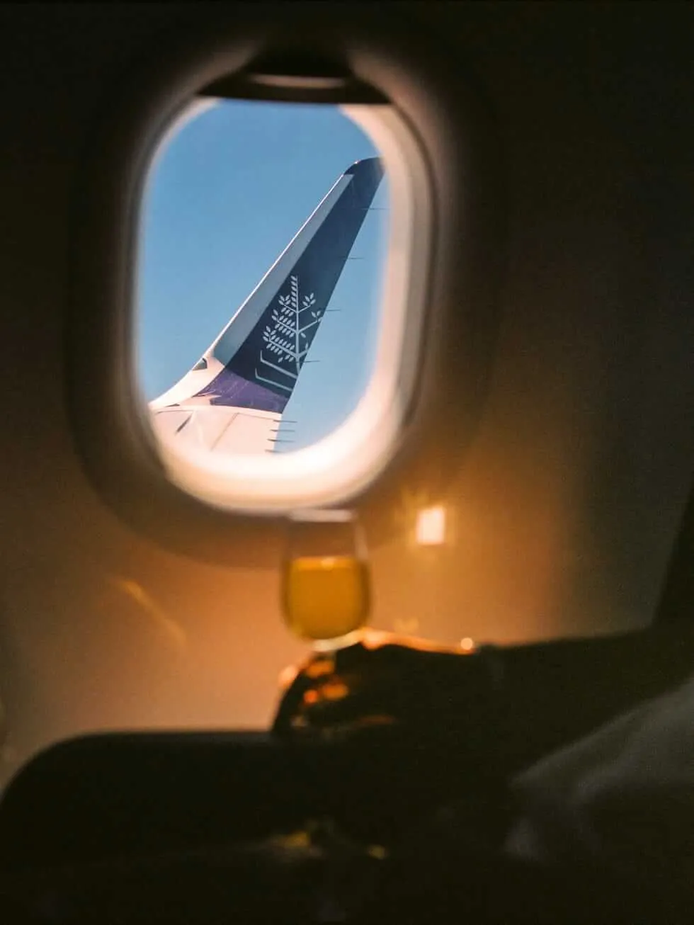 Flight Cruises & Private Jet