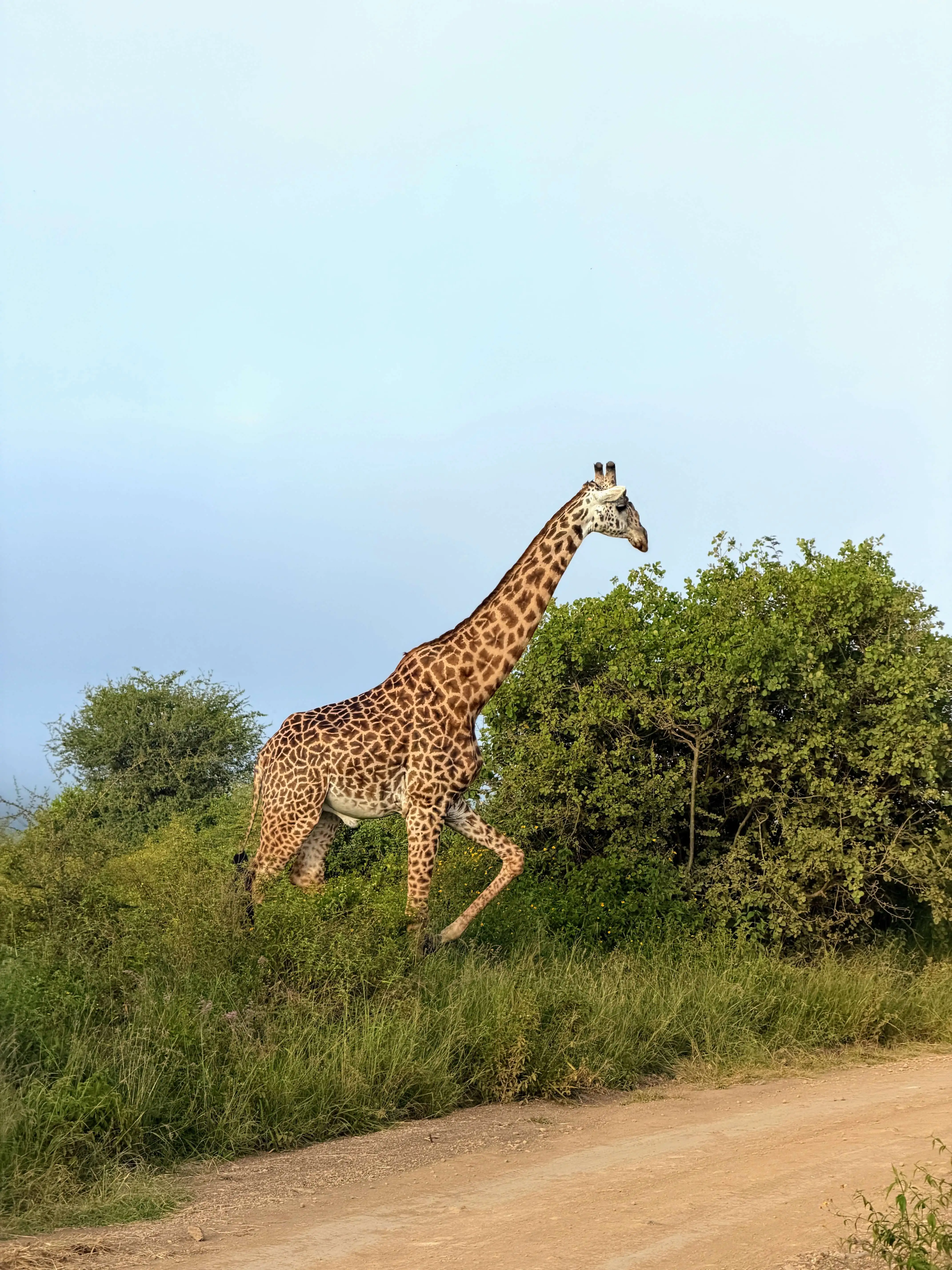 Kenia