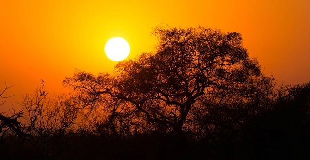 Südafrika
